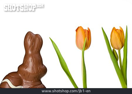
                Ostern, Tulpe, Schokoladenosterhase                   