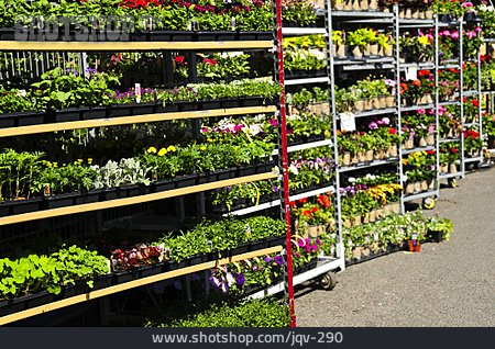 
                Gärtnerei, Großhandel, Blumenverkauf                   
