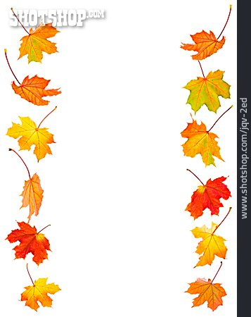 
                Herbst, Rahmen, Ahornblatt                   