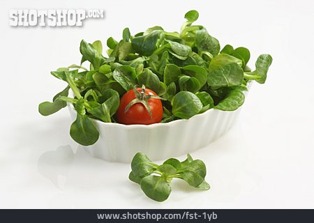
                Salat, Feldsalat                   