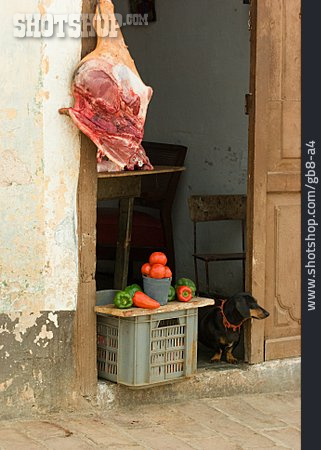 
                Fleisch, Kuba, Trinidad                   