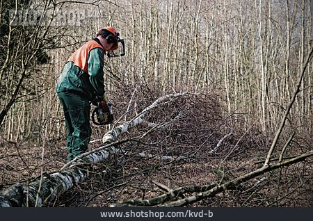 
                Holzwirtschaft, Sägen, Waldarbeit, Waldarbeiter                   