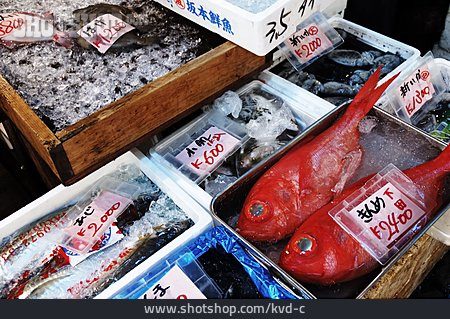 
                Fisch, Asien, Fischmarkt                   