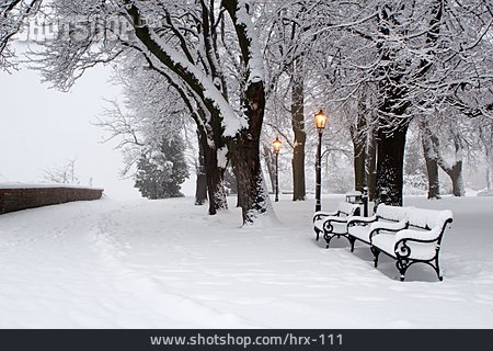 
                Park, Winter, Verschneit                   