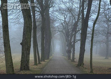
                Nebel, Allee, Parkweg                   