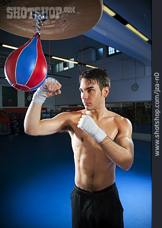 
                Training, Boxer, Punchingball                   