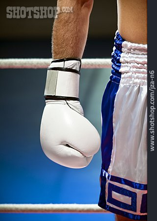 
                Boxer, Boxhandschuh, Boxsport                   