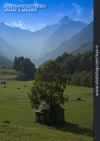
                Allgäu, Allgäuer Alpen, Trettachtal                   