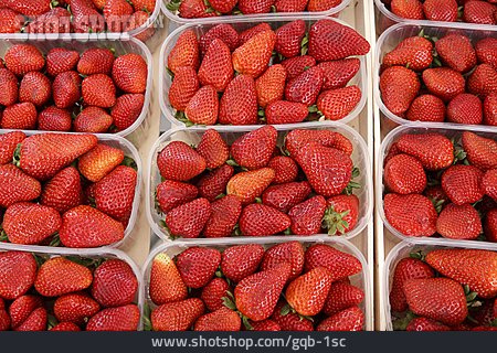 
                Sommerfrucht, Erdbeere                   