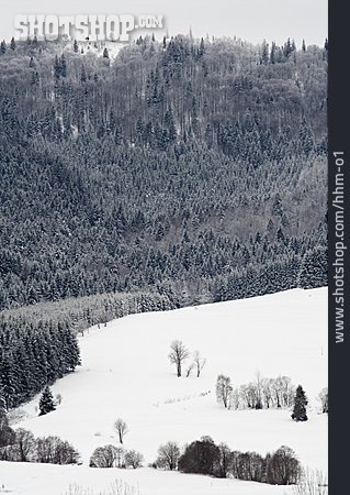
                Winterlandschaft, Schwarzwald, Verschneit                   