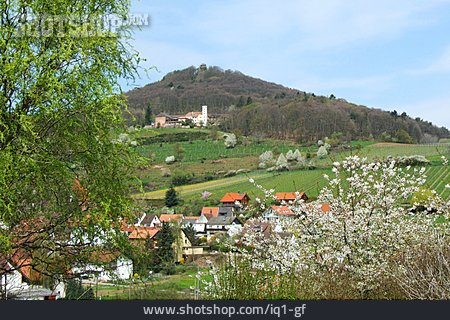 
                Leinsweiler, Burg Anebos                   