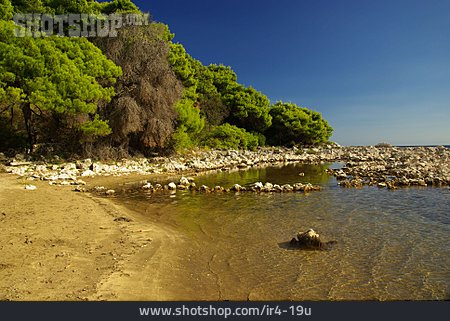 
                Küste, Dalmatien, Mljet                   