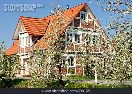 
                Obstblüte, Fachwerkhaus, Altes Land                   
