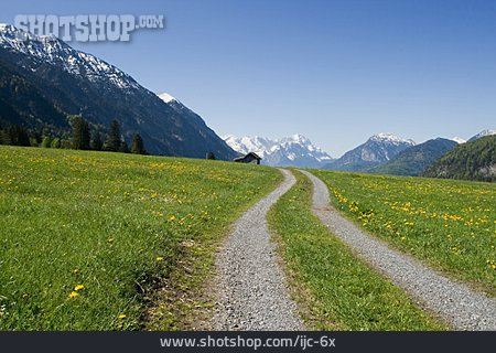 
                Landschaft, Feldweg, Zugspitze                   