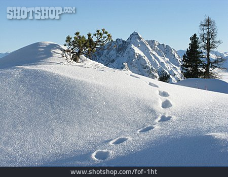 
                Winterlandschaft, Schneespur, Gebirgskette                   