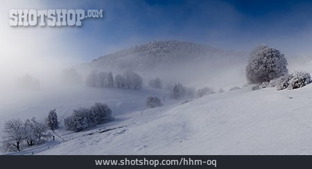 
                Winterlandschaft, Nebel, Schwarzwald, Frühnebel                   