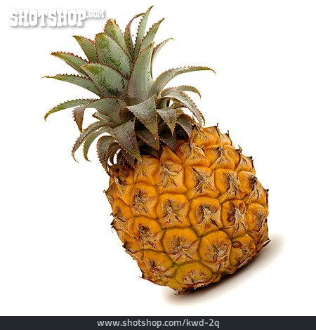 
                Ananas                   