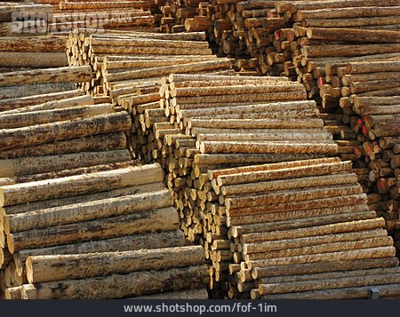 
                Holz, Holzstapel, Holzlager                   