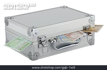 
                Wealthiness, Money Suitcase                   