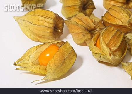 
                Obst, Physalis                   
