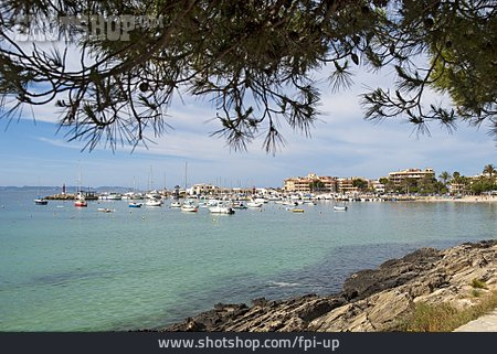 
                Küste, Hafen, Mallorca                   
