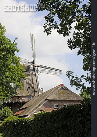 
                Windmühle, Ostfriesland                   