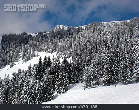 
                Skigebiet, Brauneck                   