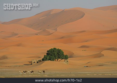 
                Wüste, Marokko                   
