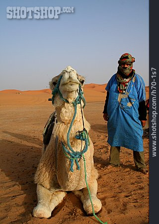 
                Dromedar, Beduine, Kamelreiten, Nomade                   