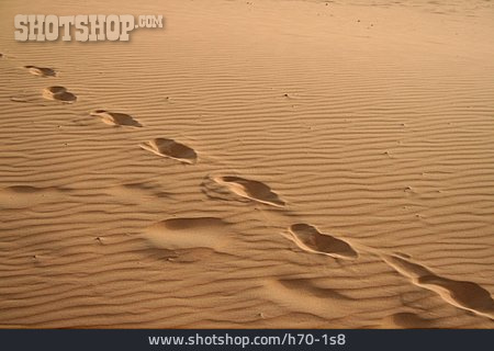 
                Wüste, Fußspur                   