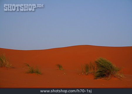 
                Sahara, Sanddüne                   
