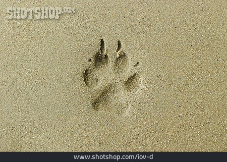
                Sand, Hundepfote                   