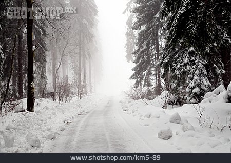
                Winterlandschaft, Nebel, Waldweg                   