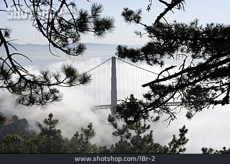 
                Nebel, Golden Gate Bridge                   