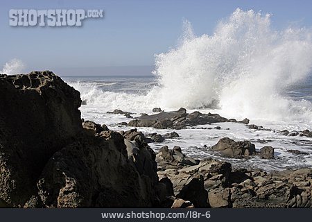 
                Spray, Surf, Pacific Coast                   