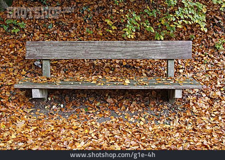 
                Herbst, Sitzbank                   