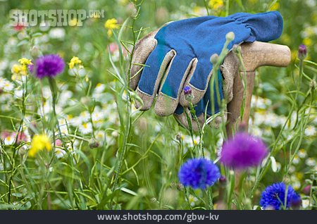 
                Pause & Auszeit, Blumenwiese, Gartenarbeit, Arbeitshandschuhe                   