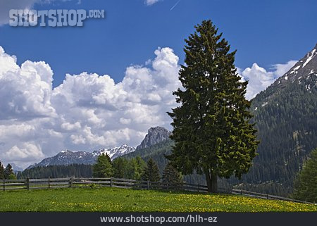 
                Südtirol, Gebirgslandschaft, Alpin                   