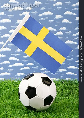 
                Fußball, Schweden                   