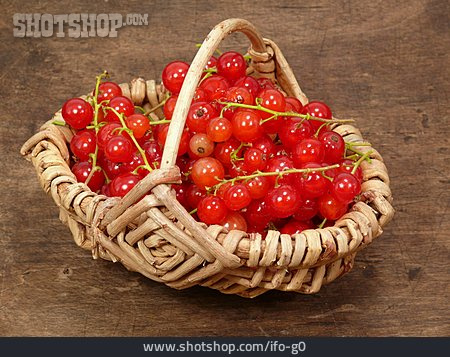 
                Beerenfrucht, Johannisbeere, Obstkorb                   