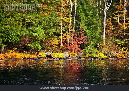 
                Herbstwald, Flussufer, Ontario                   