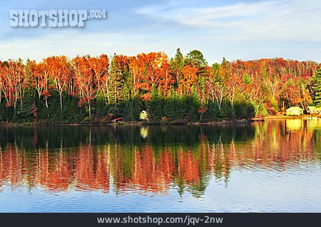 
                See, Herbstwald, Herbstlandschaft                   