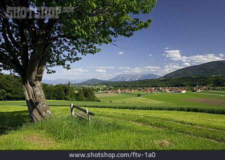 
                Landschaft, Teisendorf                   