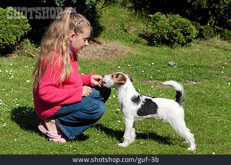 
                Mädchen, Füttern, Parson Russell Terrier                   