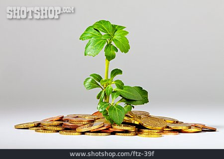 
                Geld, Wachstum, Gewinn, Vermehren                   