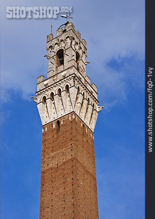 
                Siena, Torre Del Mangia                   