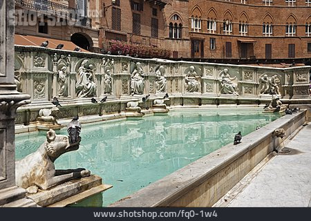 
                Fountain, Siena, Fonte Gaia                   