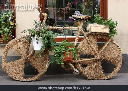 
                Fahrrad, Dekoration, Blumengeschäft                   