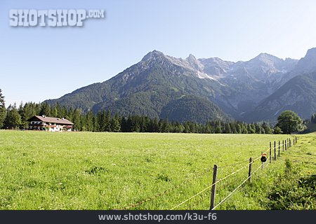 
                Weide, Bauernhof, österreich                   