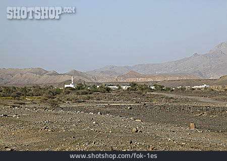 
                Wüste, Oase, Oman                   